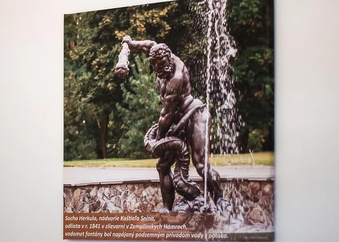 Apartament Sninsky Dvor Snina